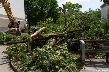 Stanje na terenu (17)
